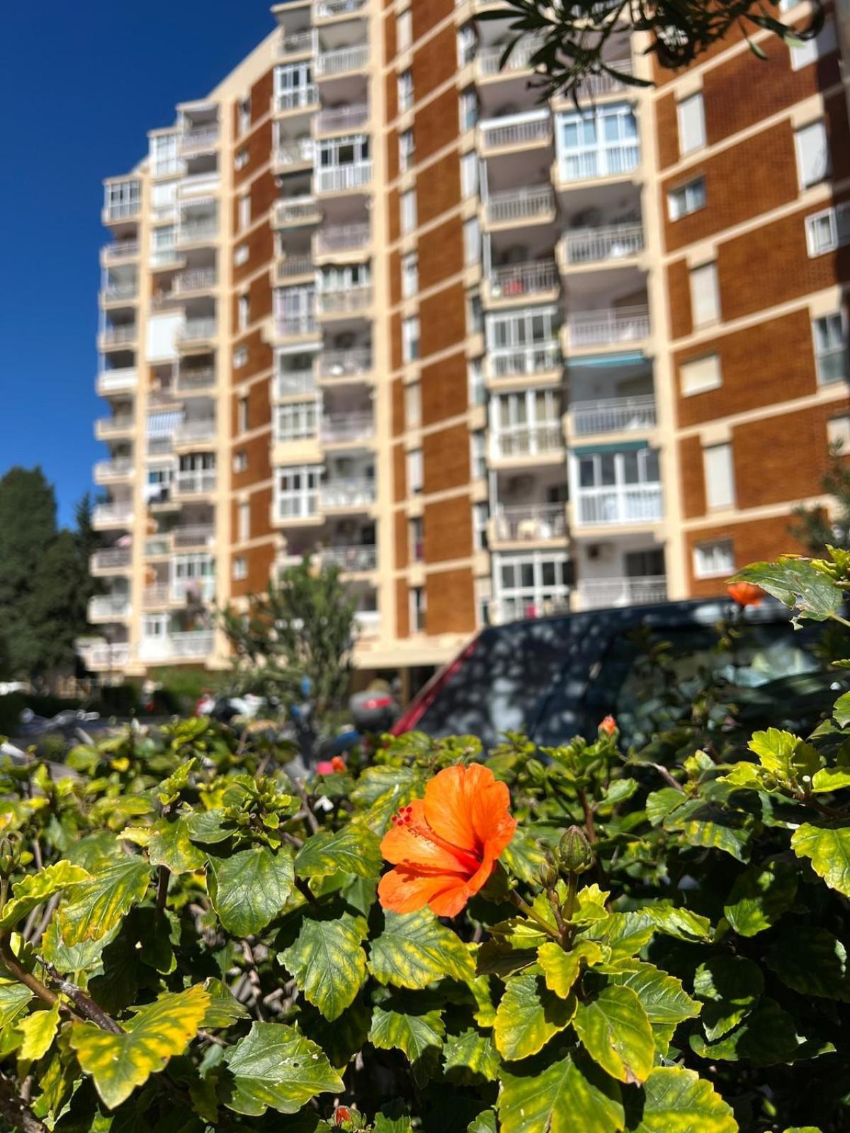 Apartment Estudio El Sol De Maria